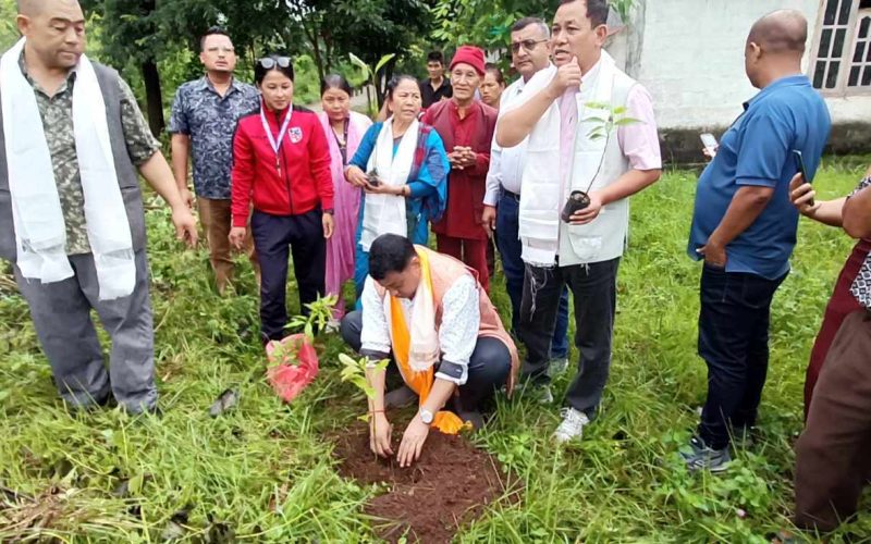 वीपी स्मृति दिवसको अवसरमा वनस्पतिमा वृक्षारोपण