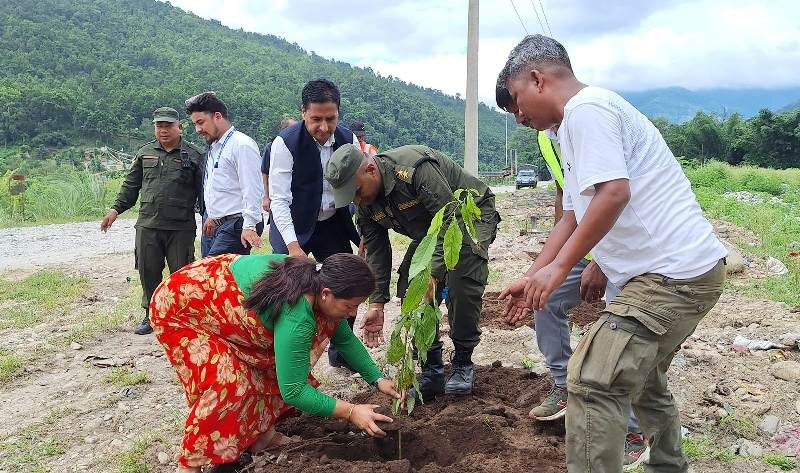 हेटौँडाको राप्ति तटमा फलफुलको बिरुवा
