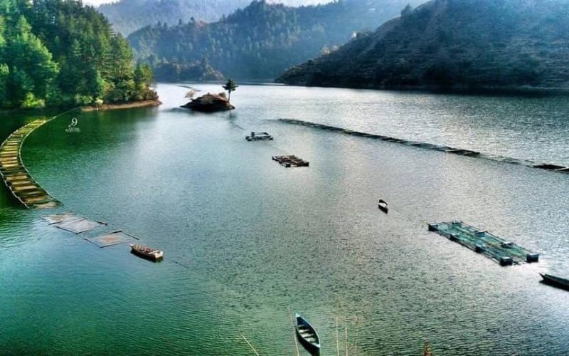 लगातार वर्षाले भरिनै लाग्यो कुलेखानी, ड्यामको ढोका खोल्नुपर्ने अवस्था