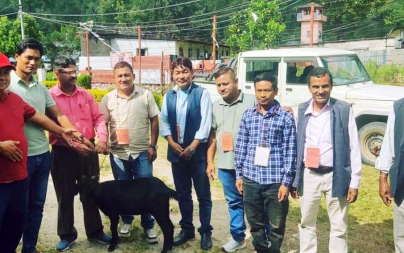 भीमफेदी कारागारका कैदीबन्दीलाई खसी र खाद्यान्न