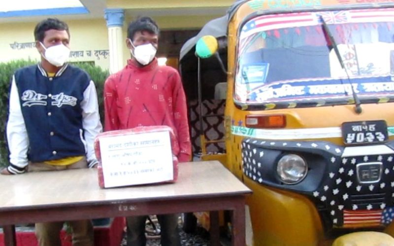 मनहरीका २ जना गाँजासहित पक्राउ