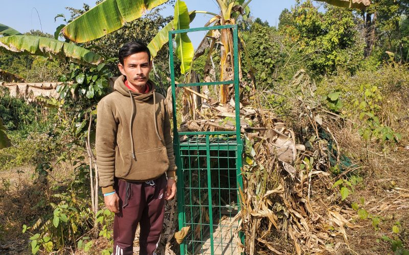 पदम पोखरीमा चितुवाको आतंक, चितुवा नियन्त्रणमा लिन खोर र क्यामरा राखियो