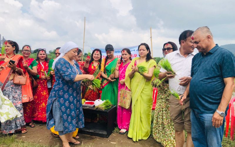 हेटौँडा १७ मा धान दिवस मनाईयो