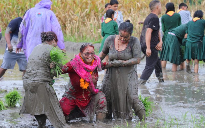 हेटौंडामा २२ औं राष्ट्रिय धान दिवस धुमधामसँग सम्पन्न