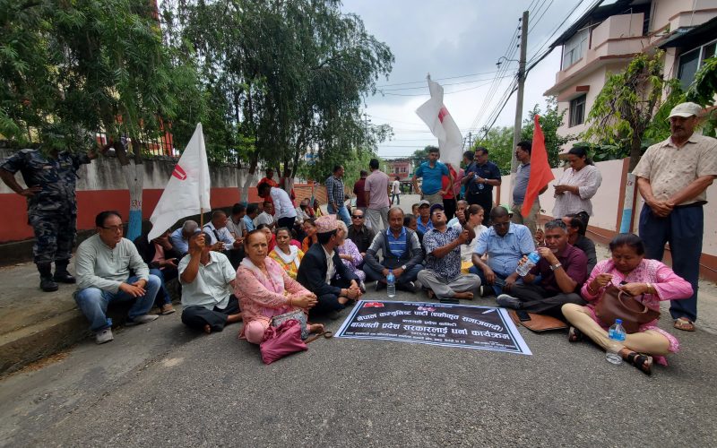 हेटौंडामा सेवाग्राही तातो घामको राप सहँदै बाटोमा प्रदर्शन गर्न बाध्य