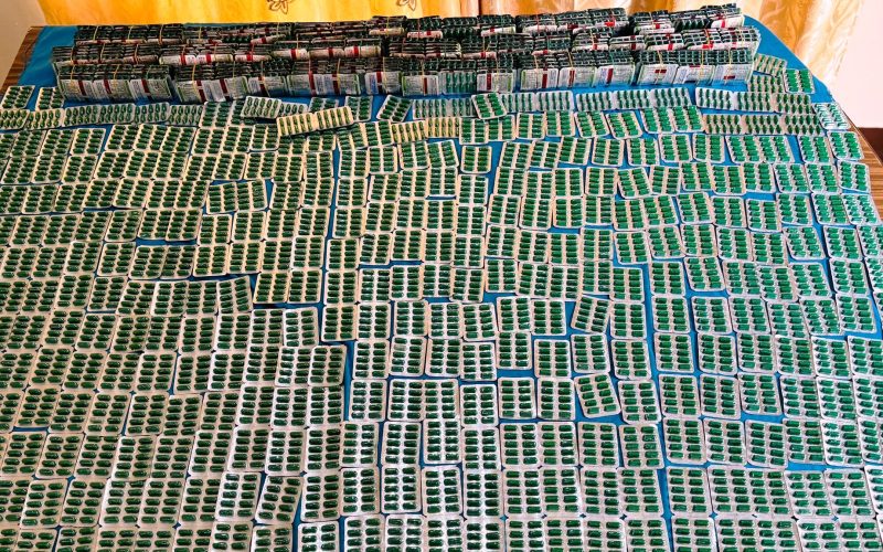 हेटौंडा–१३ मा ९,००० क्याप्सुल  ट्रामाडोलसहित एक व्यक्ति पक्राउ, थप एक फरार