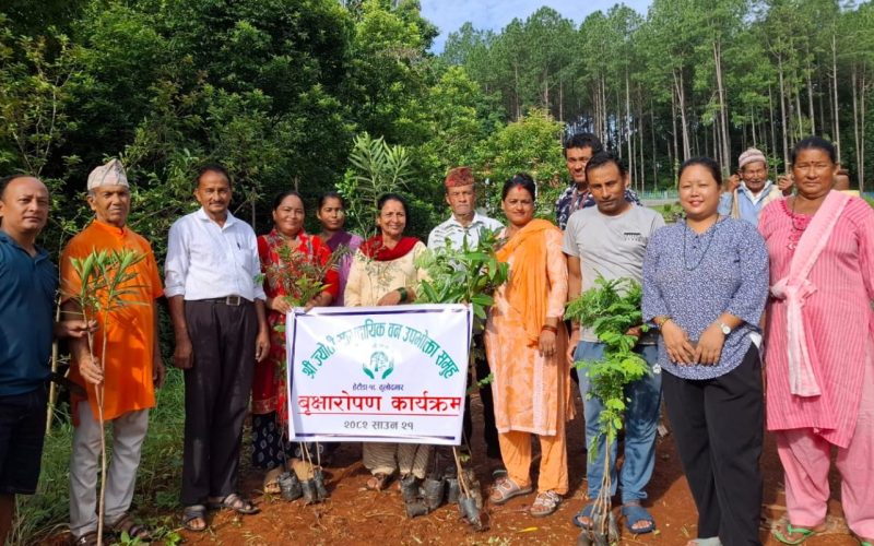 ज्योति सामुदायिक वन उपभोक्ता समूहद्वारा वृक्षारोपण कार्यक्रम सम्पन्न