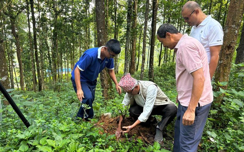 स्मारकदेखि पुण्य क्षेत्रसम्म फुलको बिरुवा रोपियो