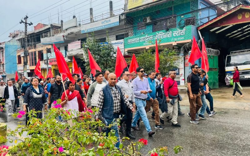 ओली लेखक पक्राउ प्रकरणलाई लिएर हेटौंडामा प्रदर्शन