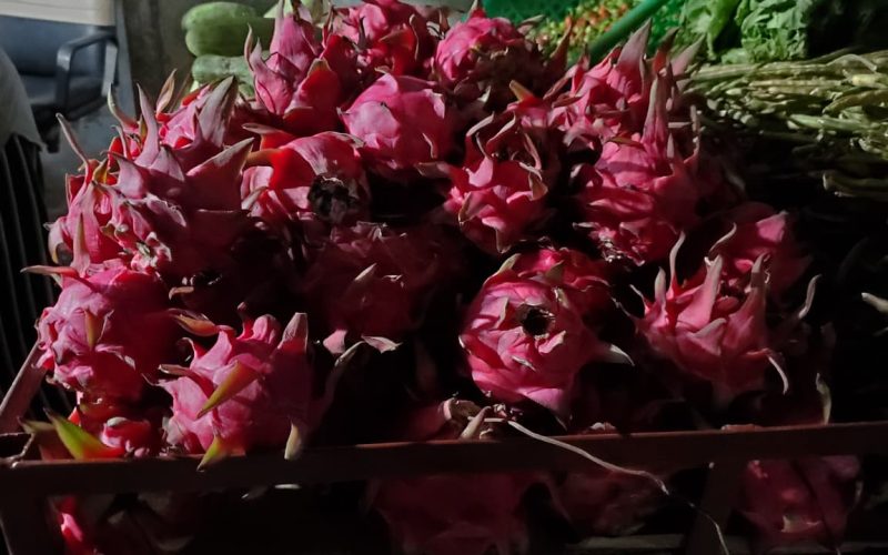 हेटौँडामा तीनदिने ‘ड्र्यागन फ्रुट फेस्टिबल’ हुने: निःशुल्क स्टलको व्यवस्था