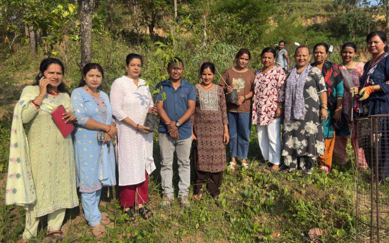 विश्व वातावरण दिवसका अवसरमा पाथीभरा मन्दिर जाने बाटोमा वृक्षारोपण