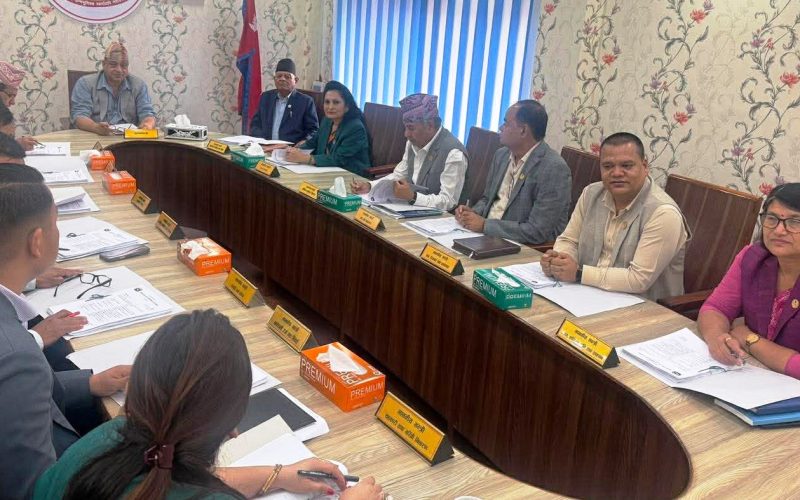 बागमती प्रदेश मन्त्रिपरिषद्का निर्णय: बाल विवाह अन्त्यको रणनीतिदेखि स्थानीय सेवा ऐन संशोधनसम्म